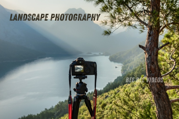 Camera poised on a tripod capturing the breathtaking landscapes of Coimbatore's serene valleys, a signature of Bee Bee Videos. Specializing in landscape, wedding, and candid photography