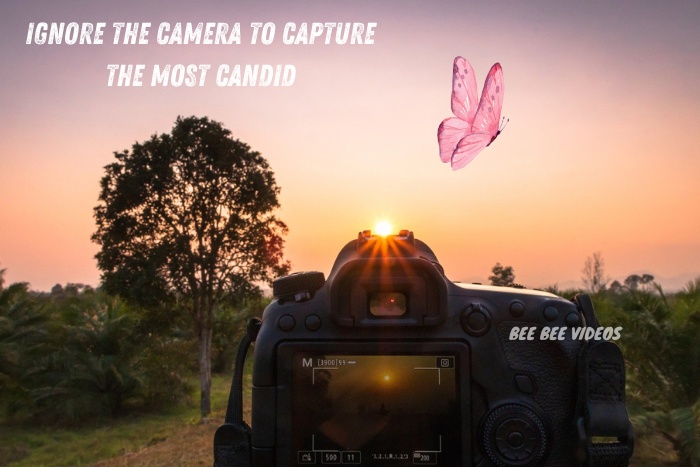 Camera set against a vibrant sunset in Coimbatore, capturing candid moments in nature with a butterfly hovering above, illustrating Bee Bee Videos' expertise in candid photography