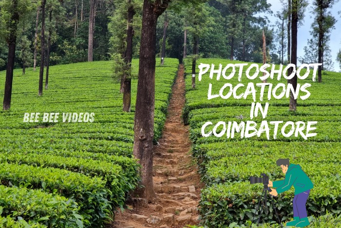 Scenic tea plantations ideal for photoshoots, highlighting top photoshoot locations in Coimbatore by Bee Bee Videos. Discover stunning backdrops and capture your special moments with our professional photography services